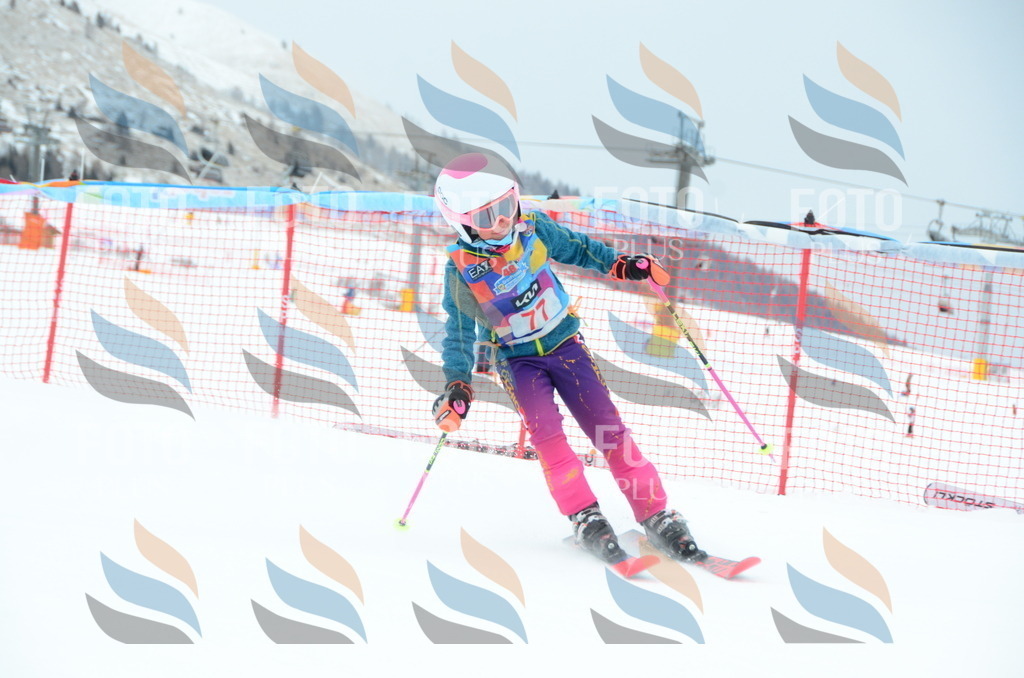 DSC_1100 | holidayphoto