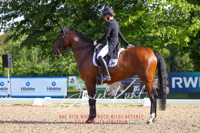 DKP41577 | Deine Turnierfotos vom Reitturnier online kaufen: Dressur, Springen & Siegerehrung. Professionelle Pferdefotografie aus dem Rheinland – als Download & Print.Alternative: Turnierfotograf für den Pferdesport: Finde deine Fotos von Dressur- und Springturnier