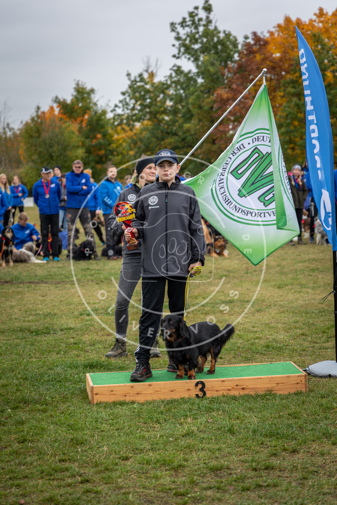 Pfotenfotografie_0L8A0504 | Hundefotografie, Tierfotograf, Pfotenfotografie, Fotoshooting Hund, Hunde Portrait, Hundesport, Hundeportraits, Heideshooting, Hunde, Sportfotograf, Hundefotograf, Turnierhundsport, THS,  - Realisiert mit Pictrs.com