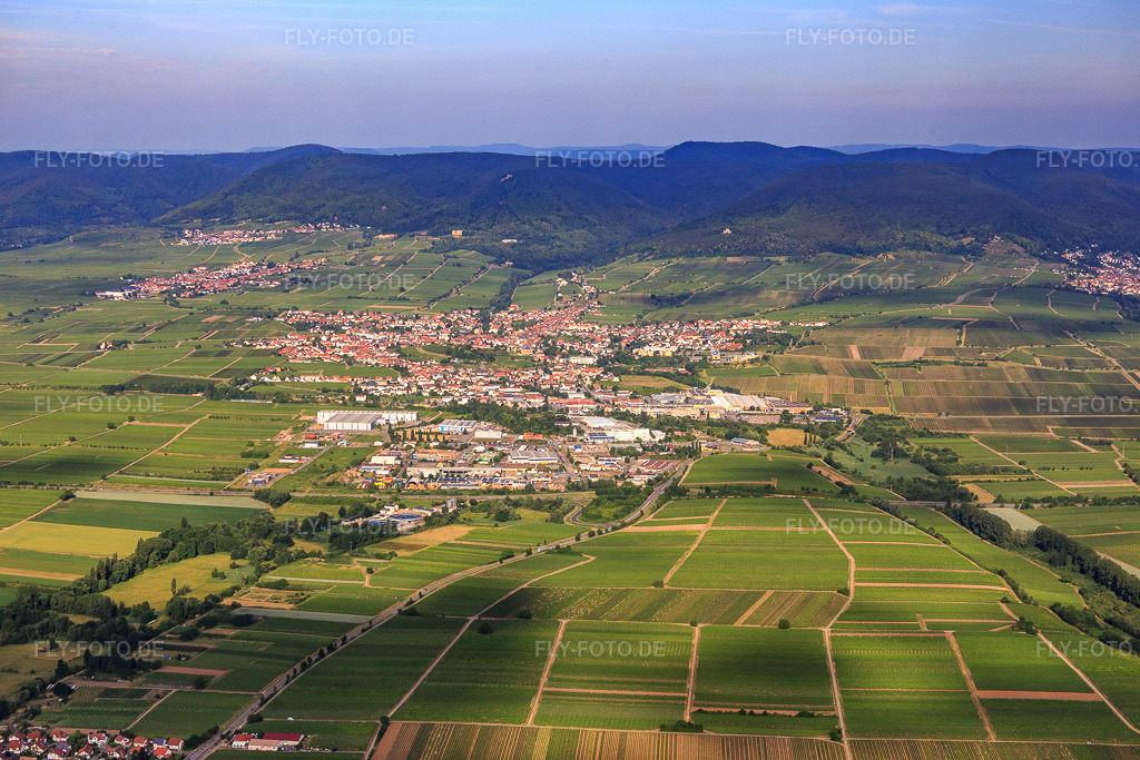 Luftbild: Stadtübersicht aus Osten in Edenkoben im Bundesland Rheinland-Pfalz in Deutschland. Foto: IMG_080939.jpg vom 14.06.2015 durch Werner Riehm/FLY-FOTO.de