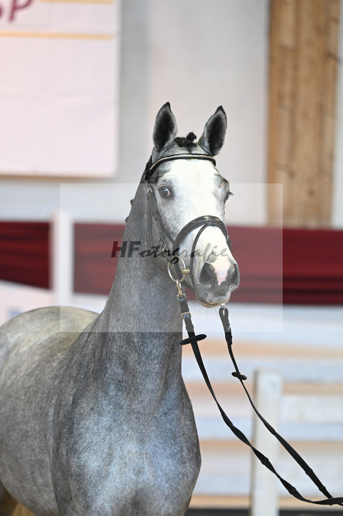 Kat-Nr. 54 v. Vingino_Stahl_66221447 | hf-fotografie - Realisiert mit Pictrs.com