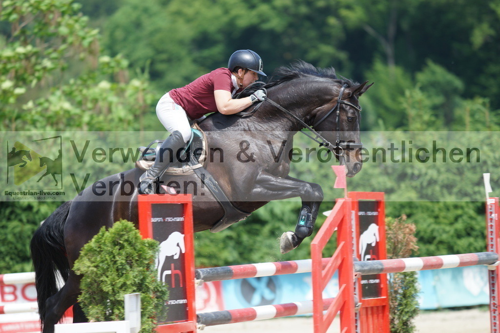 DSC00663 | equestrian-live-com