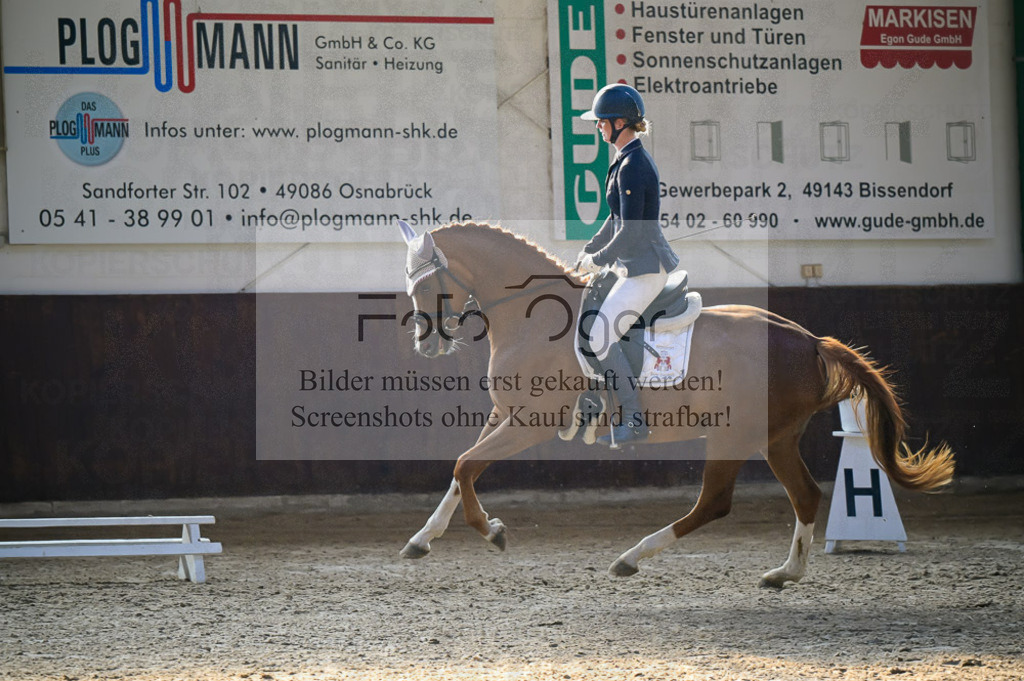 Reitturnier Voxtrup | Entdecke hochwertige Reitturnierfotos von Foto Oger. Professionell, emotional und authentisch – jetzt Lieblingsmomente im Shop bestellen.Deutschlandweite Turnierfotografie. - Realisiert mit Pictrs.com