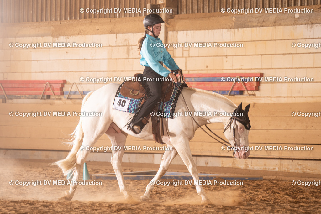 NID00848 | dv-media-shop - Realisiert mit Pictrs.com