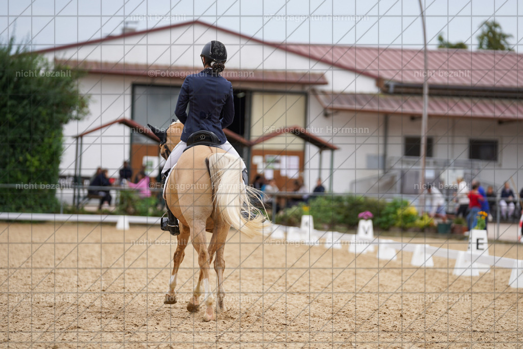 20240825-FAH09921 | Turnierbilder, Reitsportfotos, LAPO, Landesponyturnier, Turnierfotografen Bayern