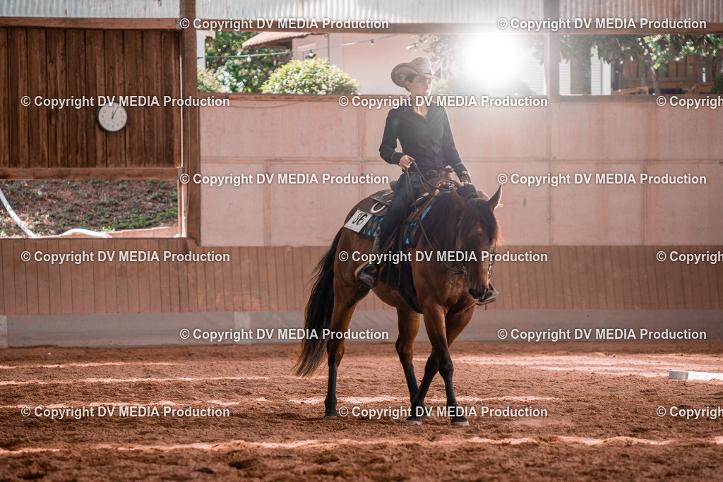 NE100565 | dv-media-shop - Realisiert mit Pictrs.com