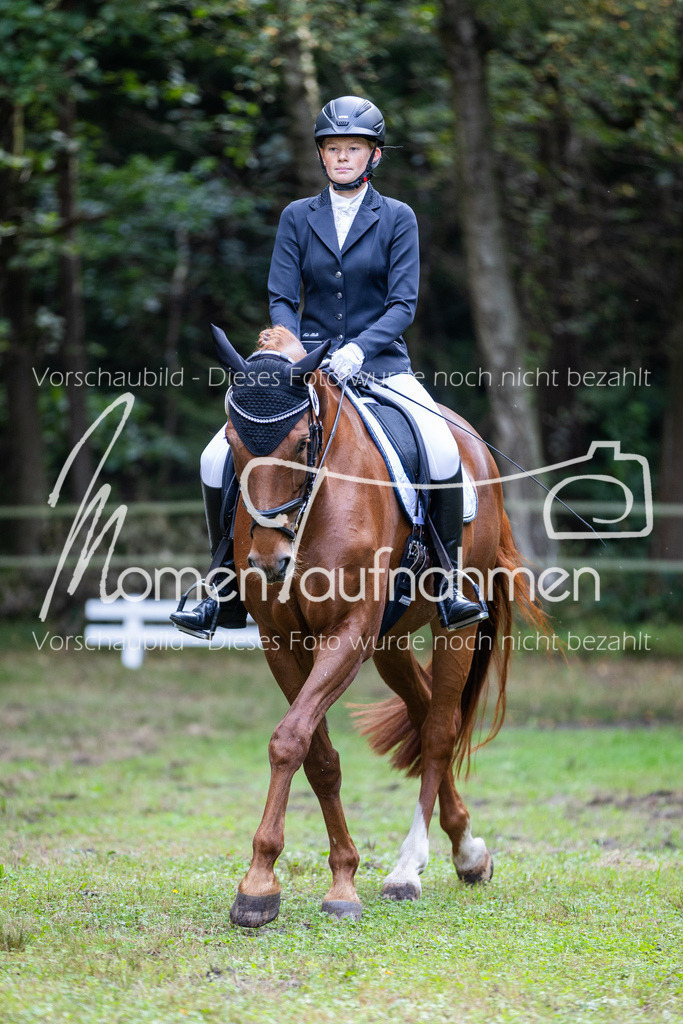 HB-A-Dressur-046 | MomenTaufnahmen Pferdesportfotos