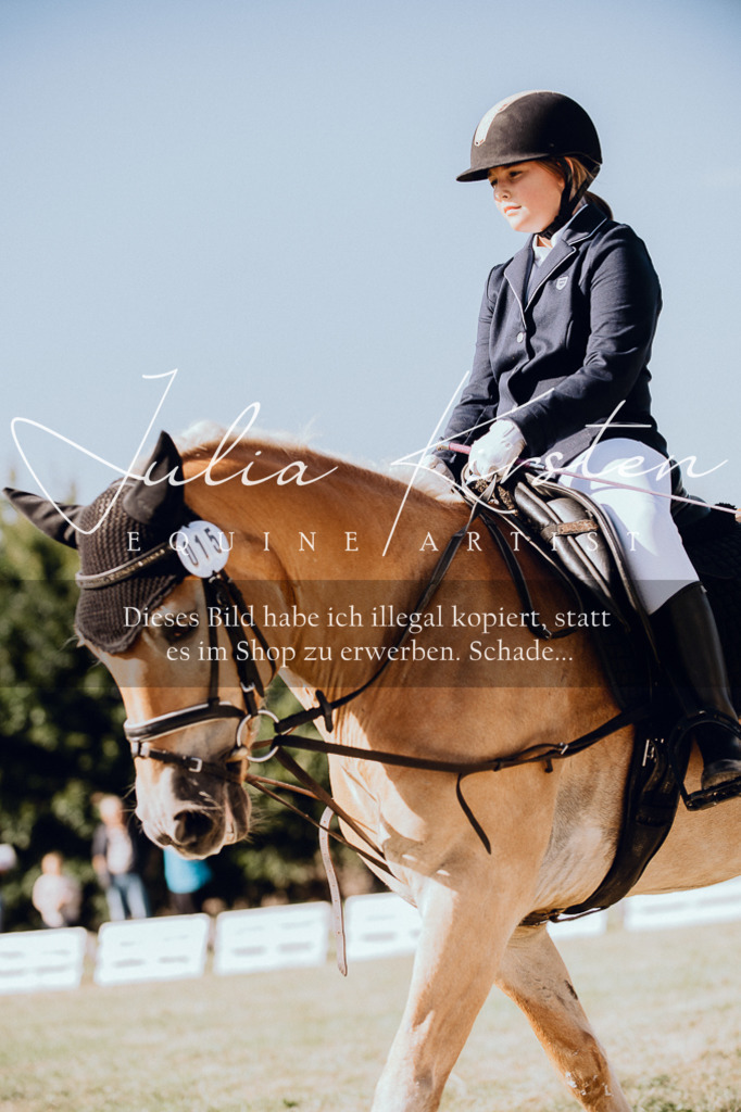 DSC_6992 | Pferde- und Turnierfotografie in Westsachsen. Pferdeportraits, Auftragszeichnungen und intuitive Kunst.