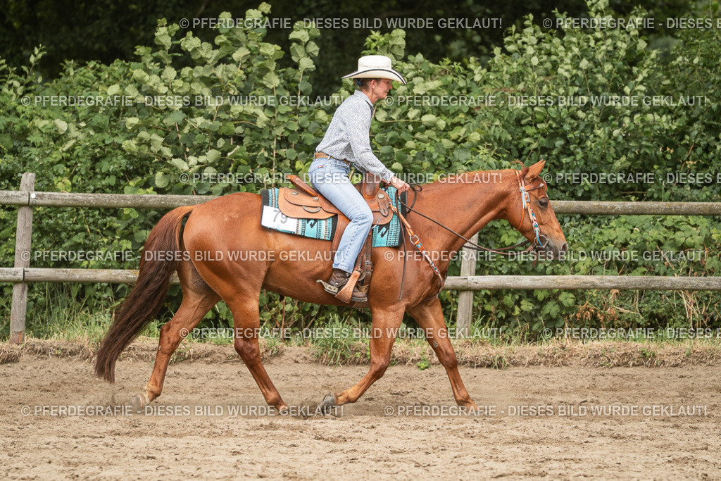 DSC03429 | Pferdegrafie