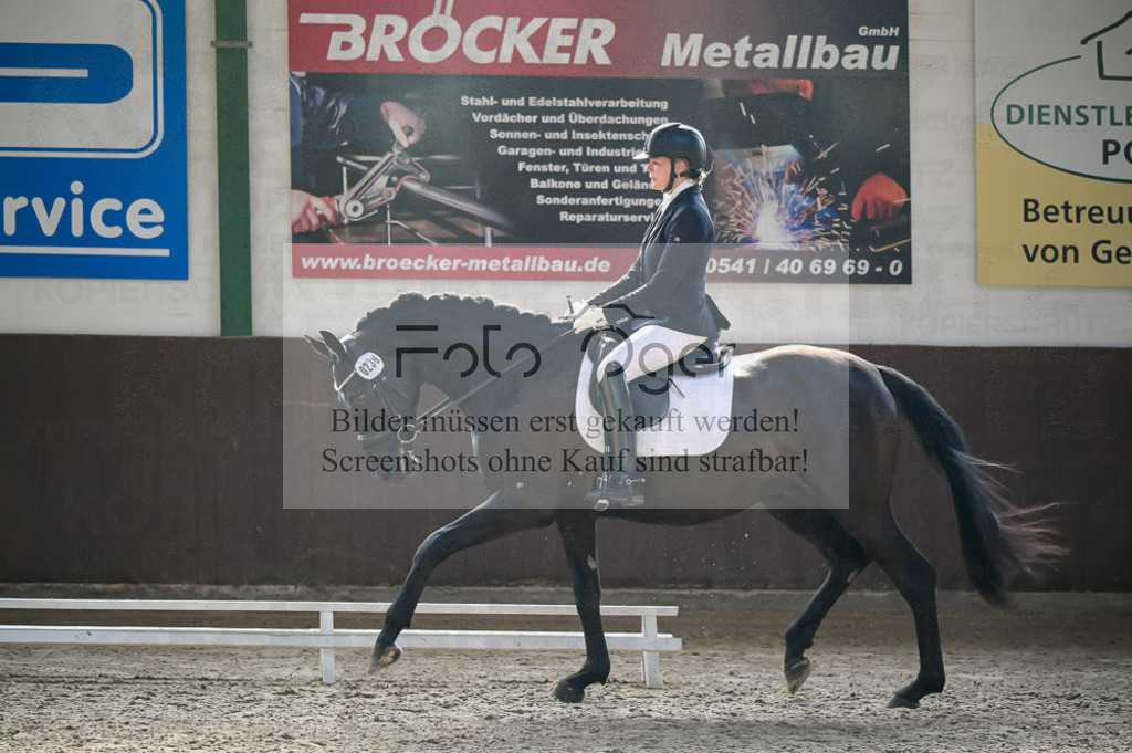 Reitturnier Voxtrup | Entdecke hochwertige Reitturnierfotos von Foto Oger. Professionell, emotional und authentisch – jetzt Lieblingsmomente im Shop bestellen.Deutschlandweite Turnierfotografie. - Realisiert mit Pictrs.com