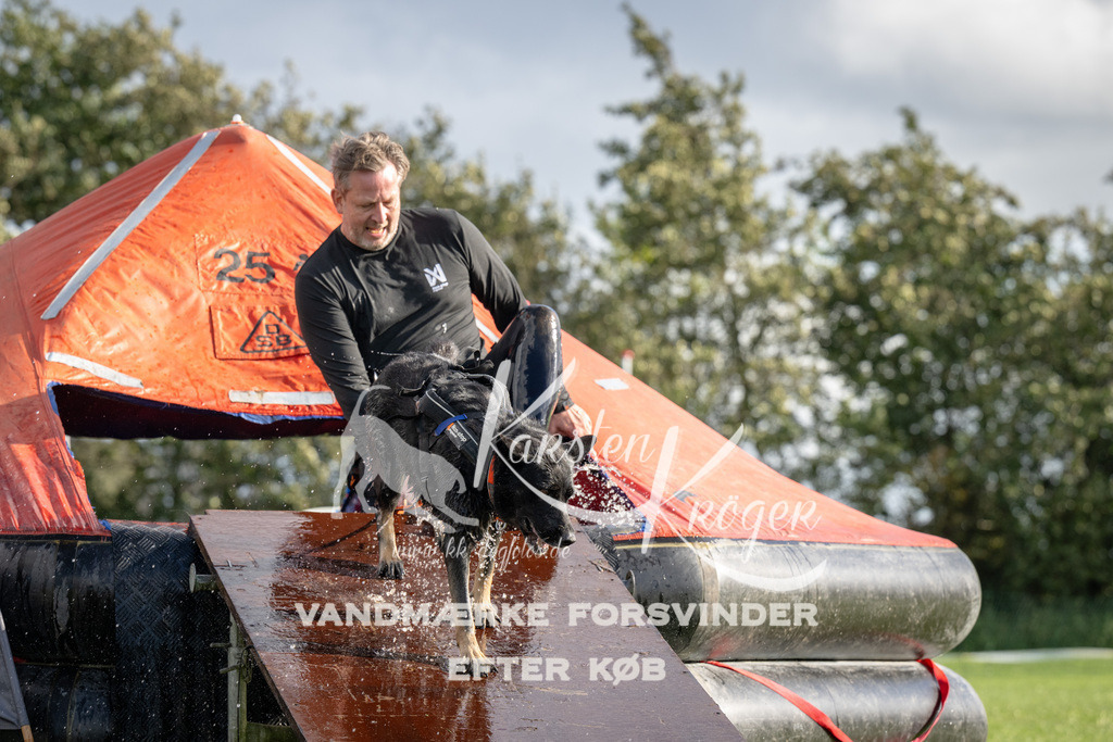 1427-94210 | kk-dogfotos