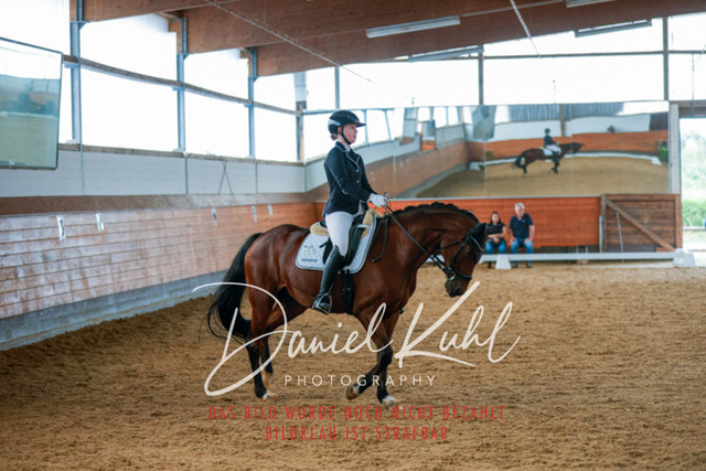 _62_6037 | Turniersportfotografie; Pferdefotografie; Dressurfotografie