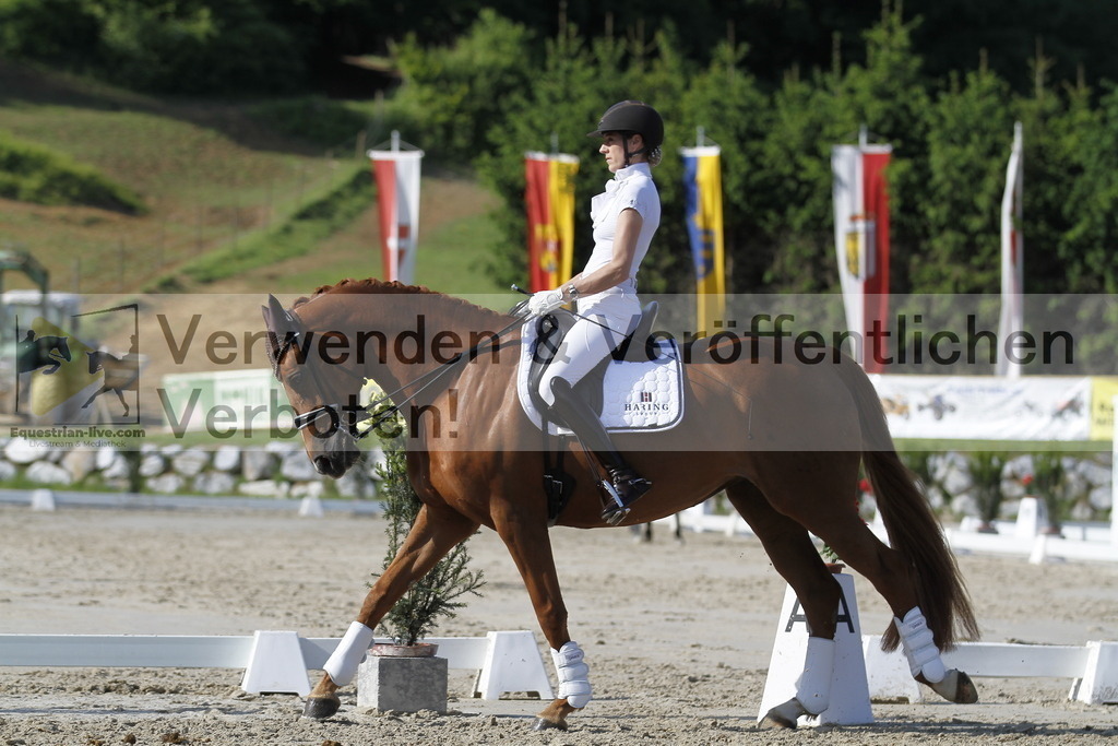 _MG_3159 | equestrian-live-com
