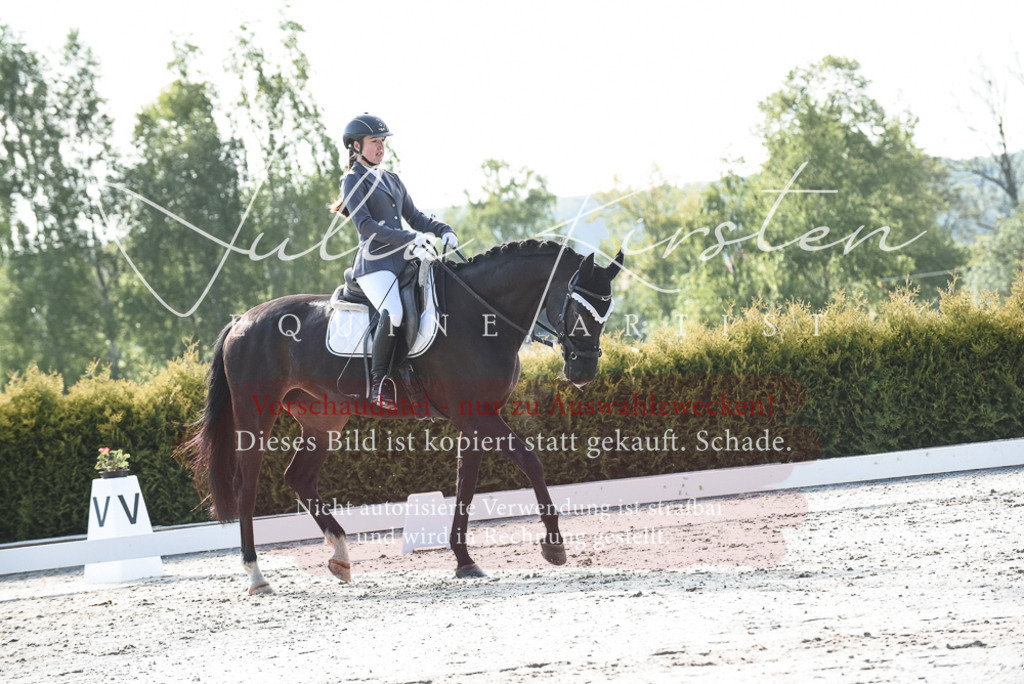 20230518_JK-Röhrsdorf-09-0792 | Pferde- und Turnierfotografie in Westsachsen. Pferdeportraits, Auftragszeichnungen und intuitive Kunst.