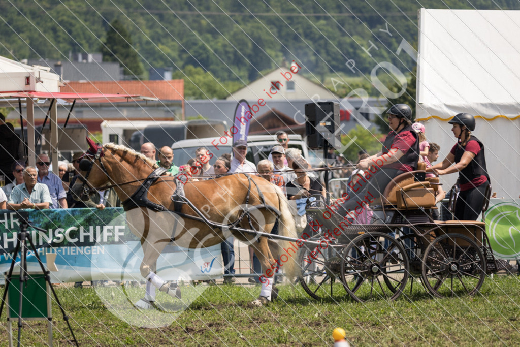 IMG_7964 | Sport-, Event- und Tierfotos in Profiqualität. Einfach auswählen, bestellen und herunterladen. Dein Moment – perfekt festgehalten.