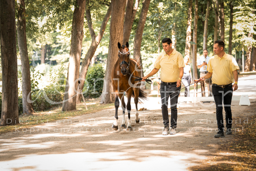 FrPfM00203 | Leoni Ertmer Photography - Realisiert mit Pictrs.com