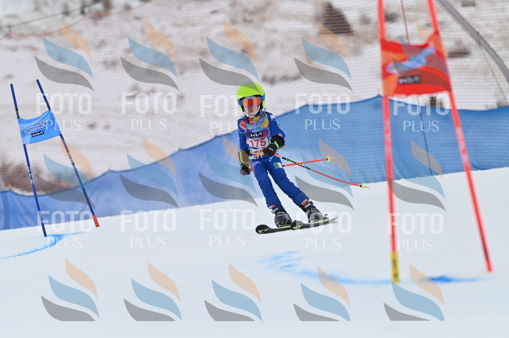 BGV_0837 | holidayphoto