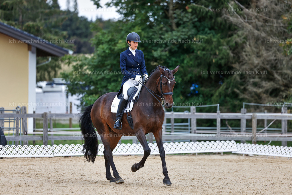 8_1-087-Klasse S_  -StoibPH-3833 | working equitationturnier fotograf videograf stoibphotography marixx film working equitation deutschland reitsport turnierfotografie eventfotografie equestrian events