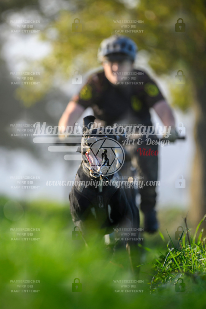 MompixPhotography_20TSB_E3_Bike-168 | PayLife