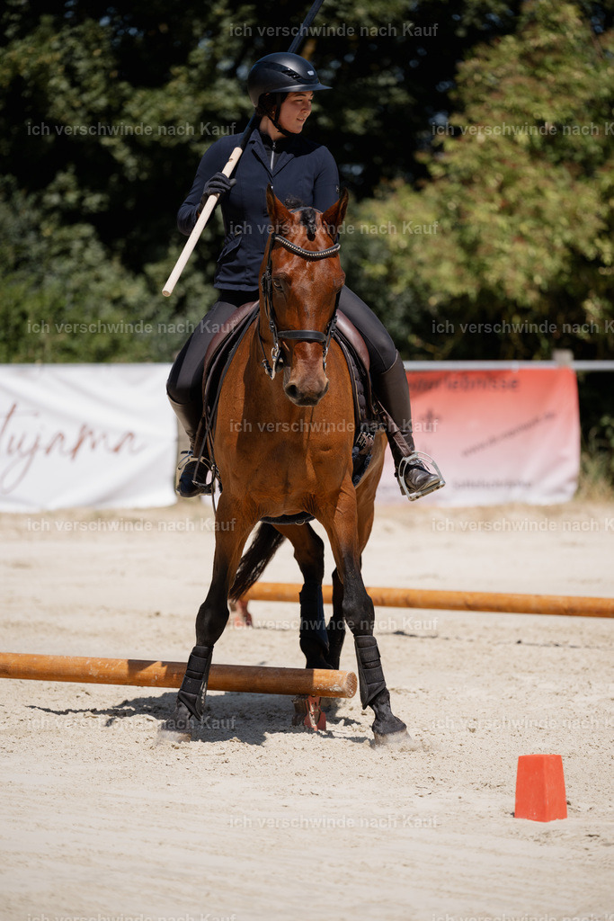 WS_ST_24_stoibphotography_SO10845 | working equitationturnier fotograf videograf stoibphotography marixx film working equitation deutschland reitsport turnierfotografie eventfotografie equestrian events