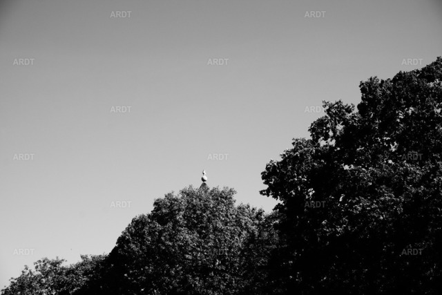 Abtei Kornelimünster 37 | ARDT Foto Kunst