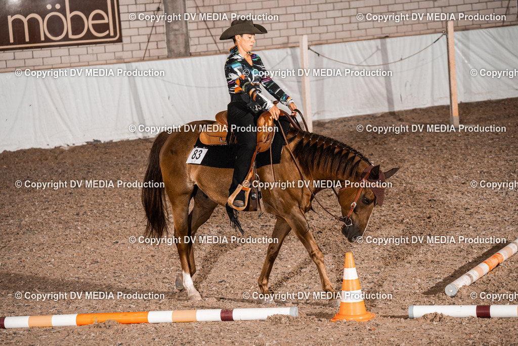 ZH200538 | dv-media-shop - Realisiert mit Pictrs.com