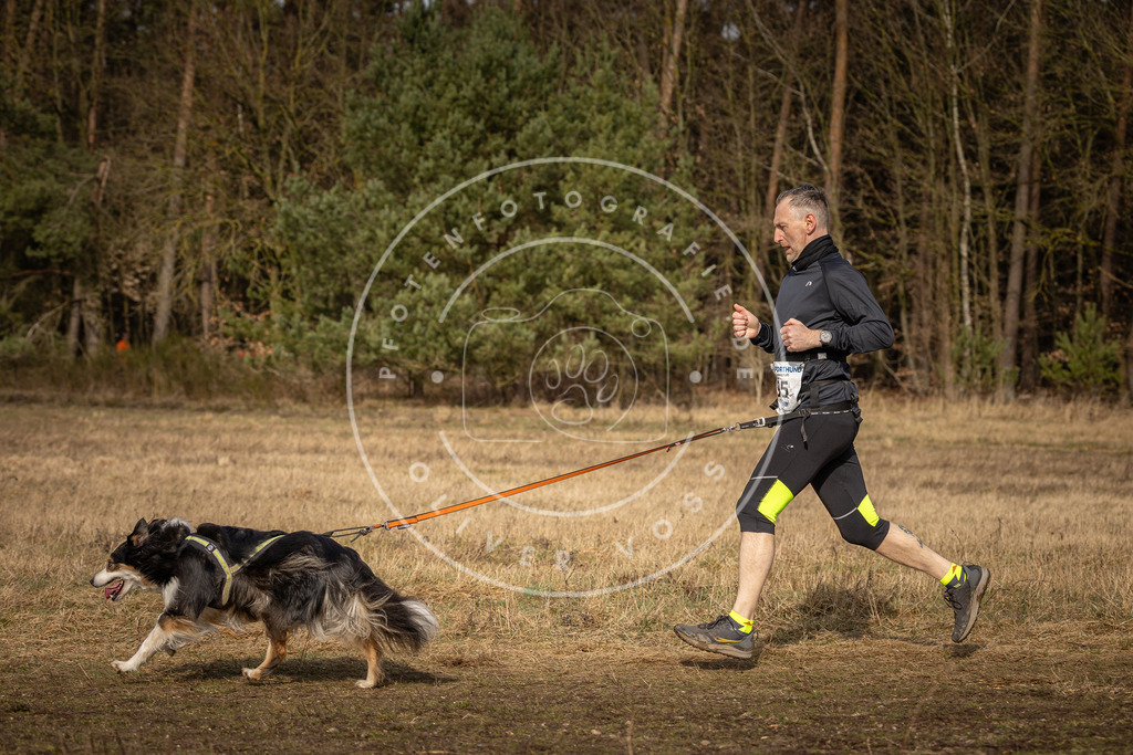 DV3A3939 | Hundefotografie, Tierfotograf, Pfotenfotografie, Fotoshooting Hund, Hunde Portrait, Hundesport, Hundeportraits, Heideshooting, Hunde, Sportfotograf, Hundefotograf, Turnierhundsport, THS,  - Realisiert mit Pictrs.com