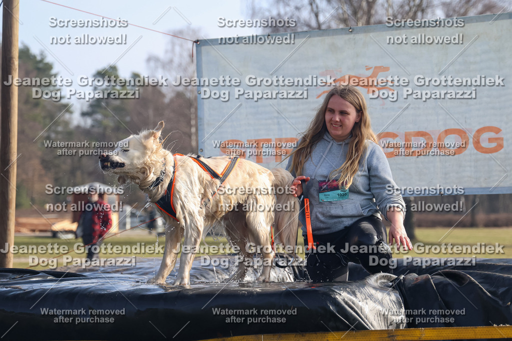Dog Paparazzi - Strongdog North Mrz26-684 | Dog Paparazzi Jeanette Grottendiek Fotografie & Videografie - Realisiert mit Pictrs.com