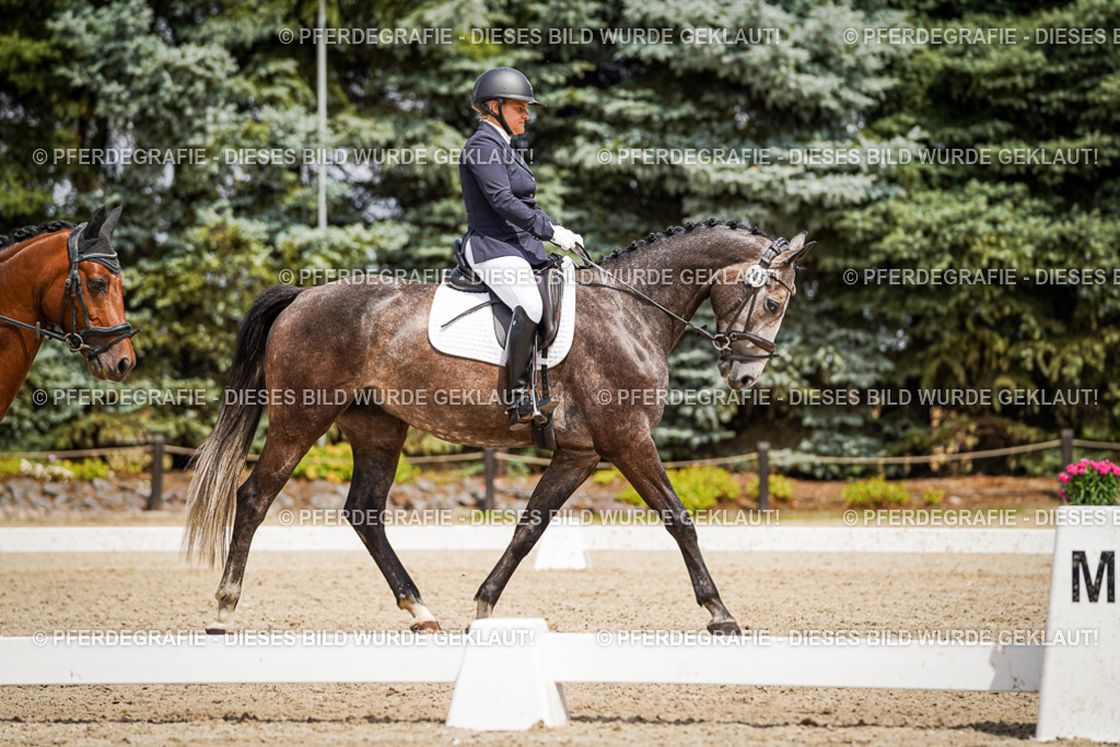 DSC03234 | Pferdegrafie