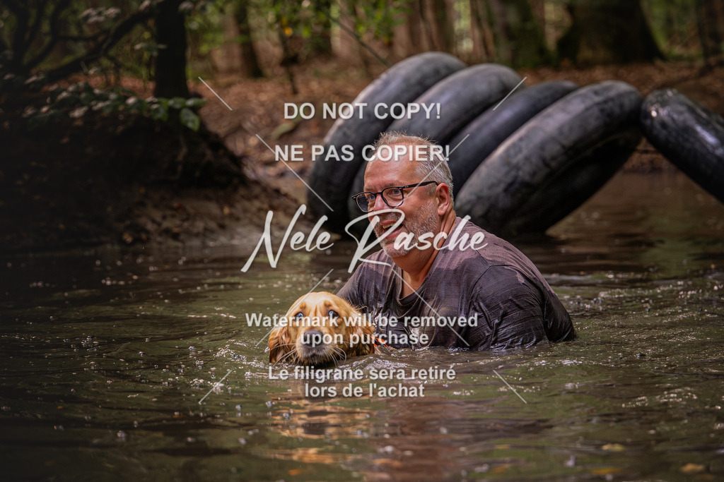 nelerasche_SaWingst1000-1030_43 | nelerasche