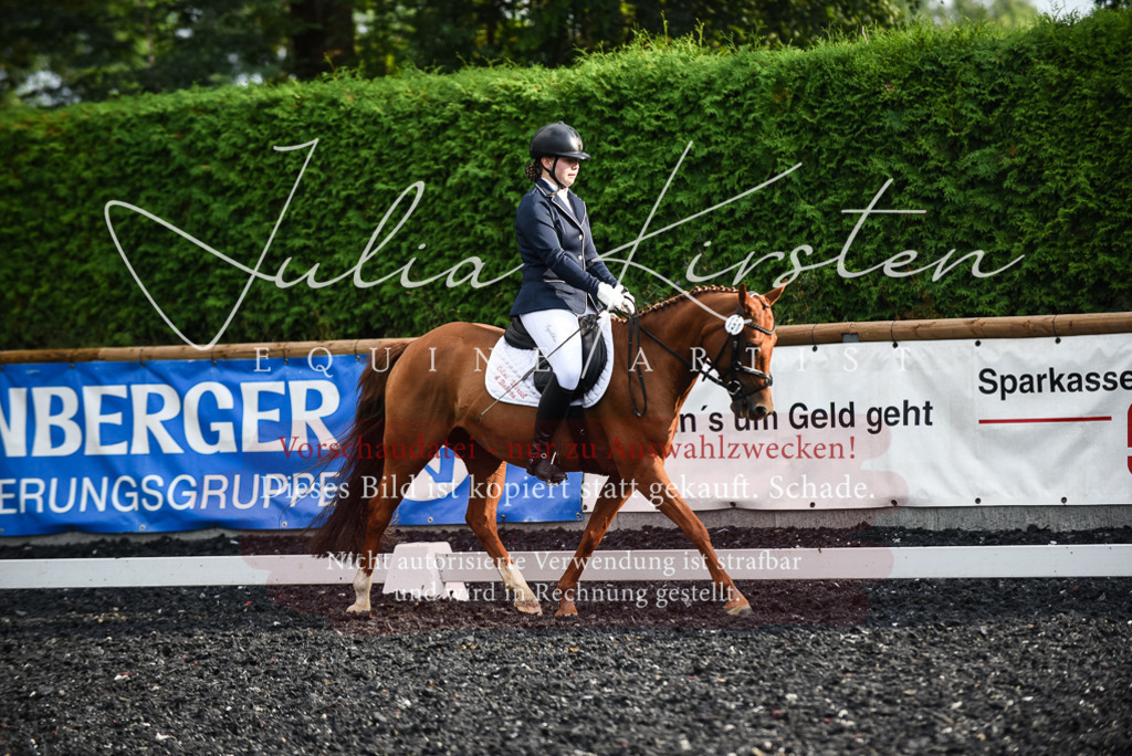 DSC_3444 | Pferde- und Turnierfotografie in Westsachsen. Pferdeportraits, Auftragszeichnungen und intuitive Kunst.