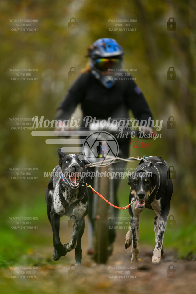 MompixPhotography_20TSB_E6_DS2-19 | PayLife