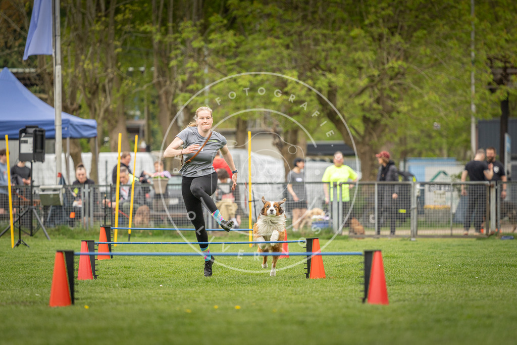 Pfotenfotografie_DV3A0478 | Hundefotografie, Tierfotograf, Pfotenfotografie, Fotoshooting Hund, Hunde Portrait, Hundesport, Hundeportraits, Heideshooting, Hunde, Sportfotograf, Hundefotograf, Turnierhundsport, THS,  - Realisiert mit Pictrs.com
