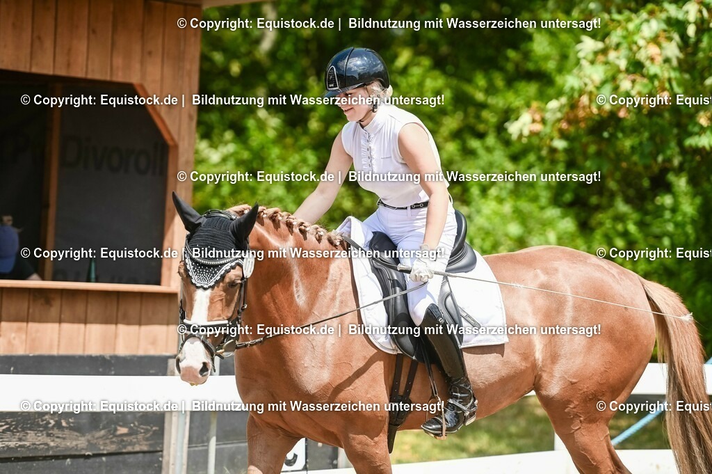 20230716_03_Dressurprfg. Kl.L - Tr._0544 | equistock