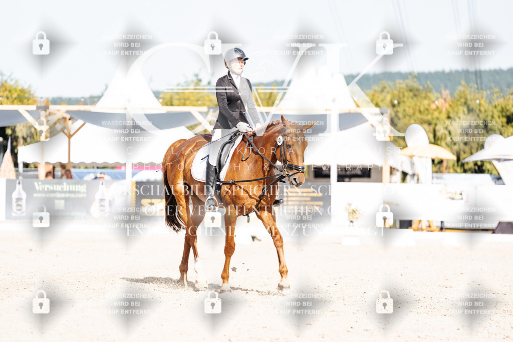 CK905456 | Turnierfotografie Pferdefotografie Trier Rheinland-Pfalz Pferdesport Reitsport Tierfotografie Sportfotografie Pferdevideo Pferdevideografie Equestrianvideography equestrianphotography  - Realisiert mit Pictrs.com