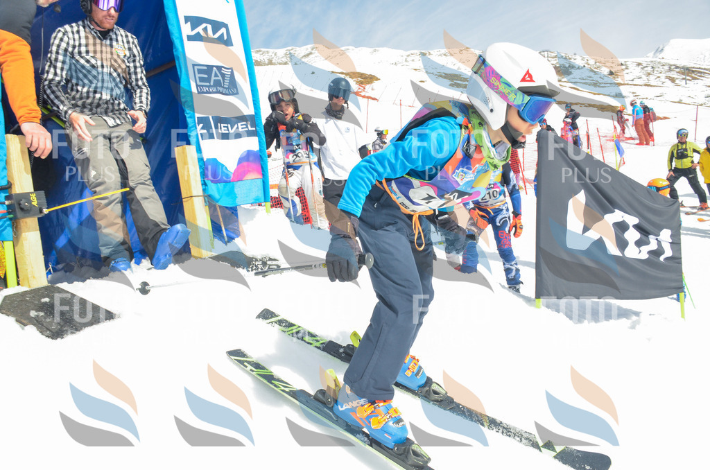 _ELE6556 | holidayphoto