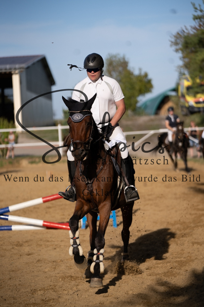 A7V02776 | Pferdefotograf