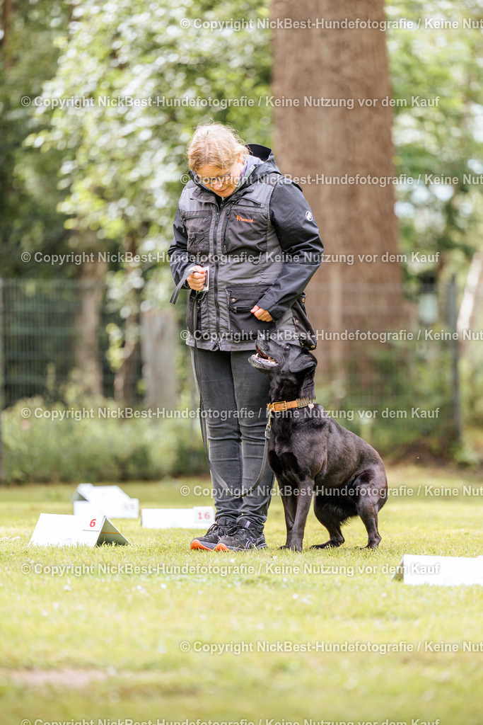 RO-Blumenthal-2026-Nickbest-Hundefotografie-5083 | Dein Hund! Dein Moment! Deine Erinnerungen! Hundefotografie in Bremen Blumenthal. Ich fange die besonderen Momente deines Vierbeiners ein – ob Indoor mit Blitzanlage oder in der freien Natur. Sicher dir dein Moment und dein Termin für eure Erinnerungen.