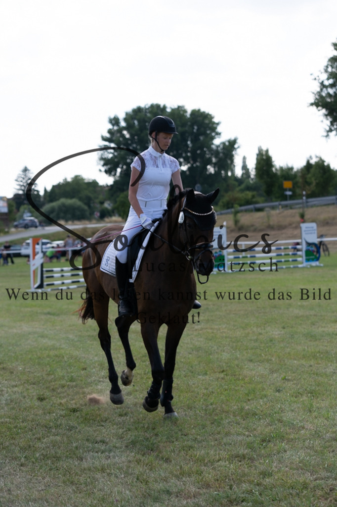 A7V00529 | Turnier/Reitfotograf