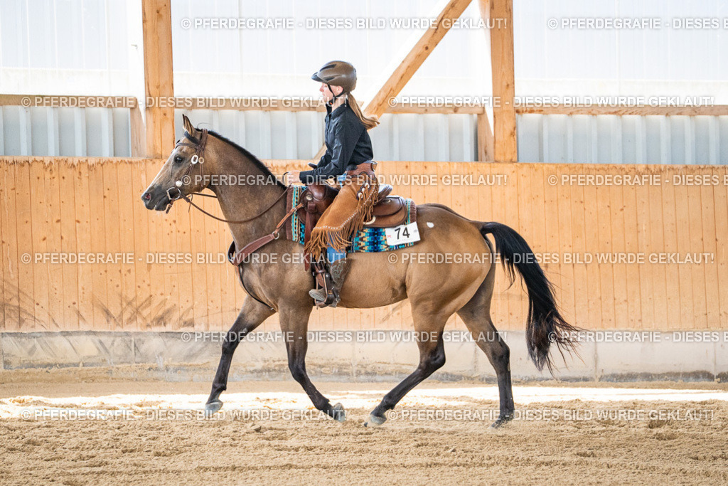 DSC03404 | Pferdegrafie