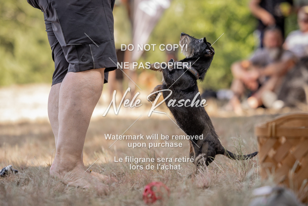 nelerasche_soDD2_10 | nelerasche