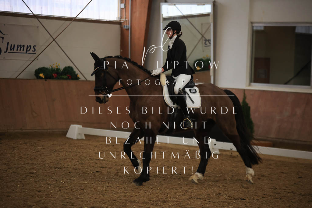 IMGT9311 | pl-fotografie