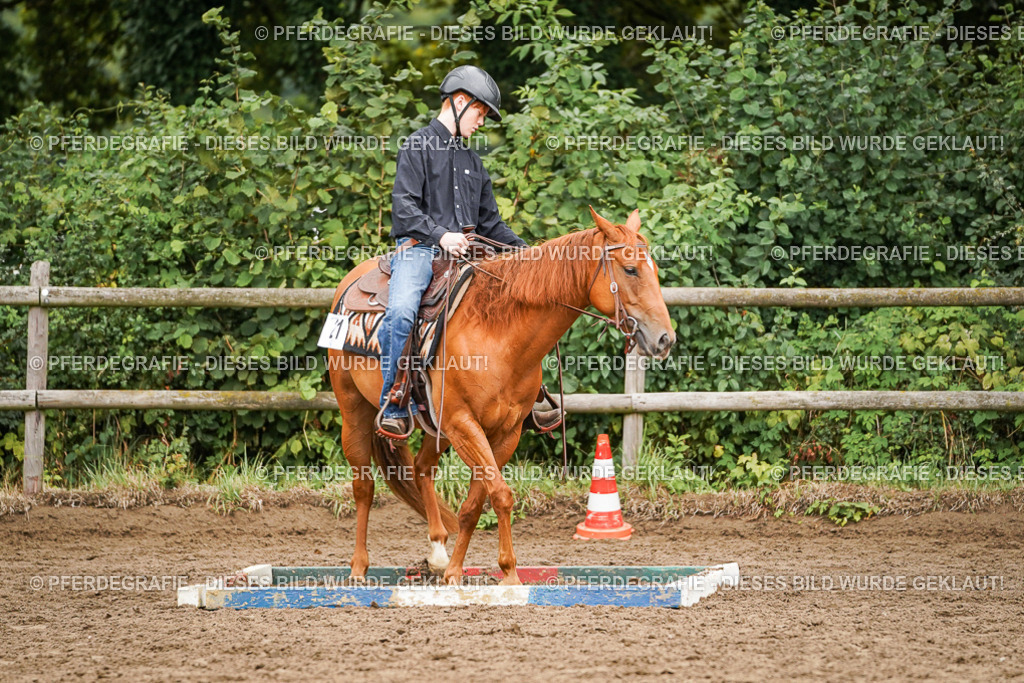 DSC03481 | Pferdegrafie