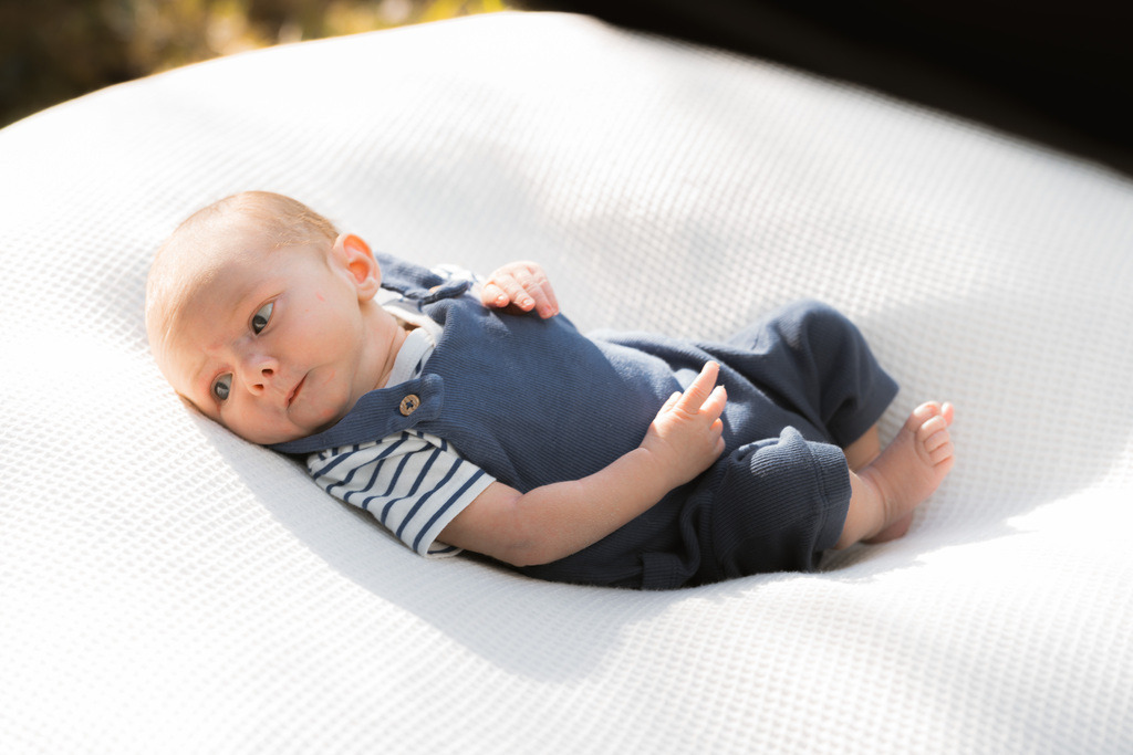 ZD260823180316 | Fotoshop von zweidimensional Fotografie. Ihr Fotograf im Aargau. Abzüge von Ihrem Fotobox Event bestellen.Abzüge von Ihrem Hochzeit bestellen.Abzüge von Ihrem Schulfotograf bestellen.