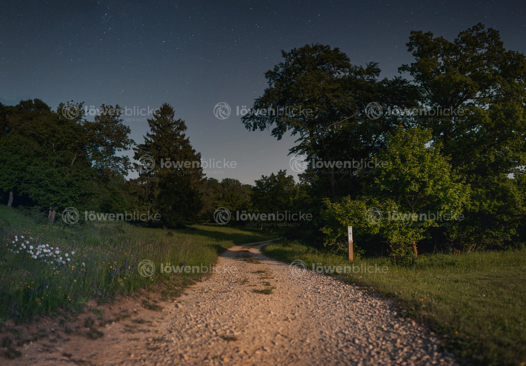 Wanderweg auf dem Galgenberg in der Dämmerung | löwenblicke | shop