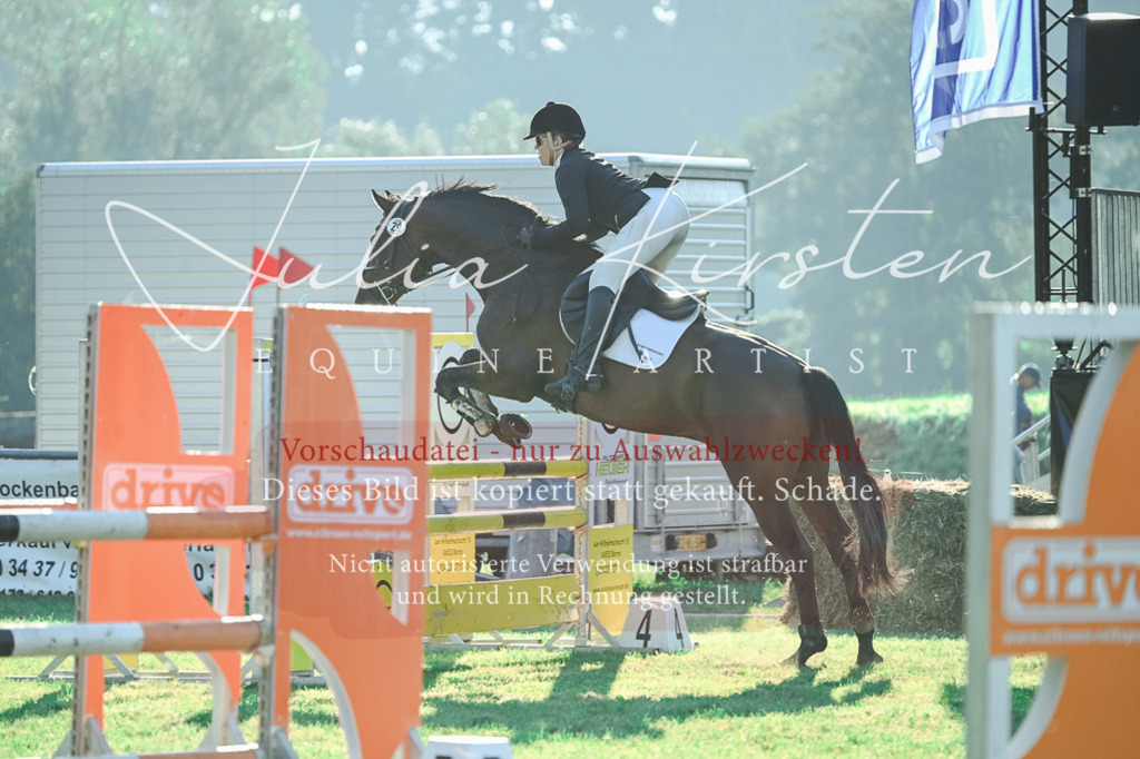 DSC_4355 | Pferde- und Turnierfotografie in Westsachsen. Pferdeportraits, Auftragszeichnungen und intuitive Kunst.