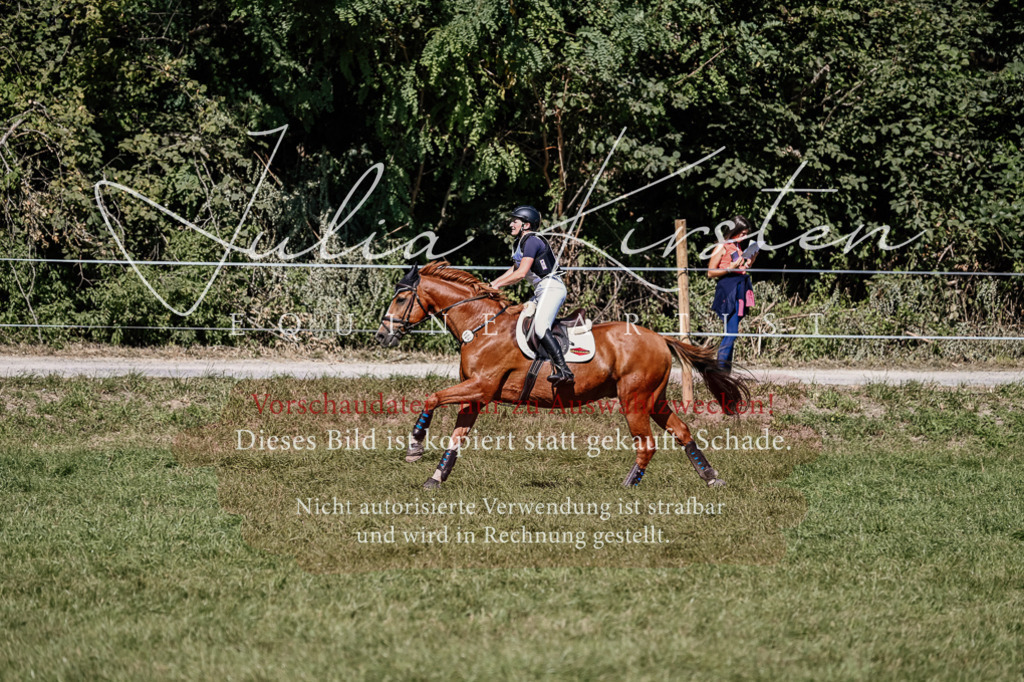 DSC_1890 | Pferde- und Turnierfotografie in Westsachsen. Pferdeportraits, Auftragszeichnungen und intuitive Kunst.