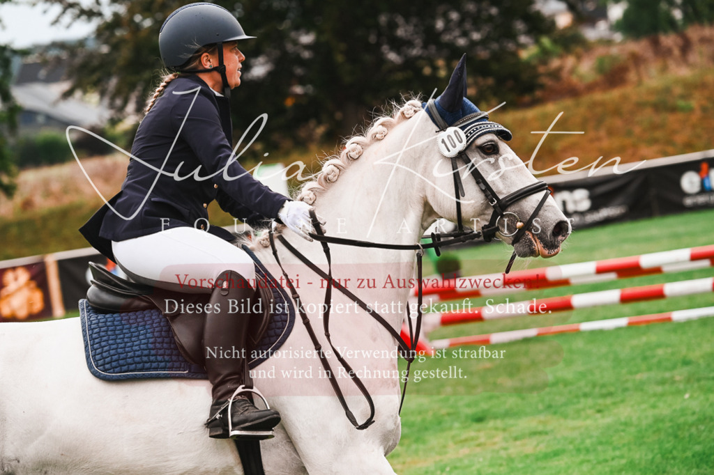 DSC_5956 | Pferde- und Turnierfotografie in Westsachsen. Pferdeportraits, Auftragszeichnungen und intuitive Kunst.
