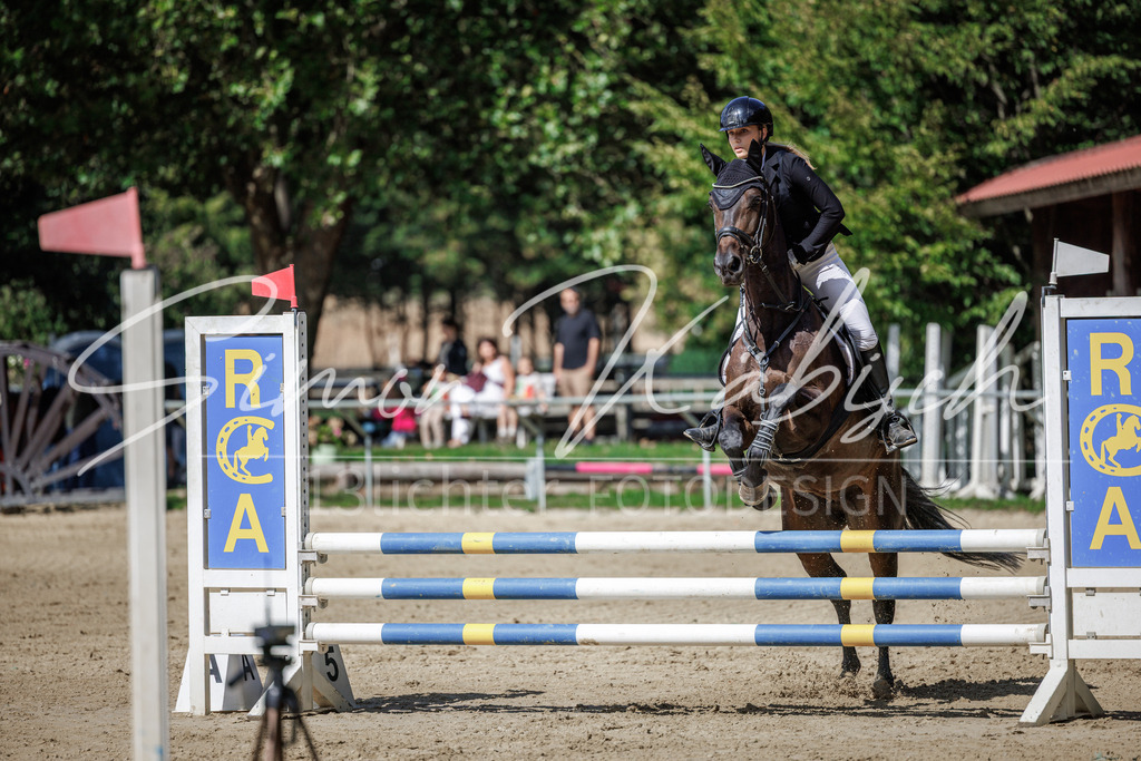 20260905-_3LI8697 | Tierfotografie Pferde, Hunde, Katzen, Haustiere.
Turnierfotografie Reitturniere, Reiten, Springreiten, Dressur in Hanau, dem Main-Kinzig-Kreis und dem Rhein-Main- Gebiet um Frankfurt