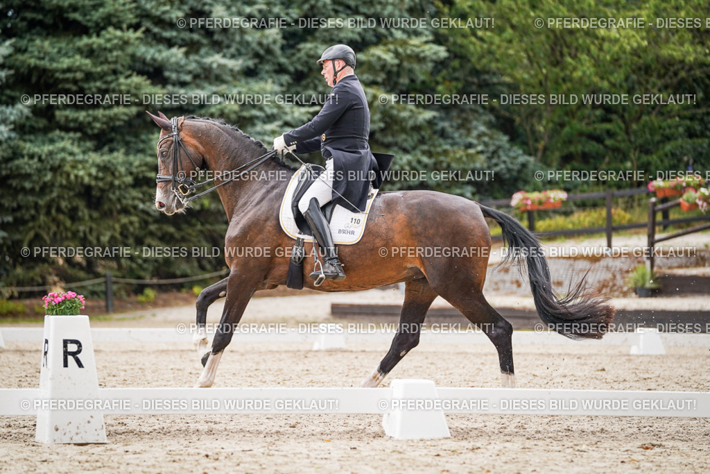 DSC06940 | Pferdegrafie